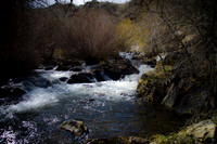 Morrison River