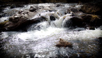 Morrison River